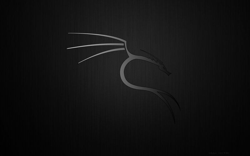 Kali Linux logo on dark background