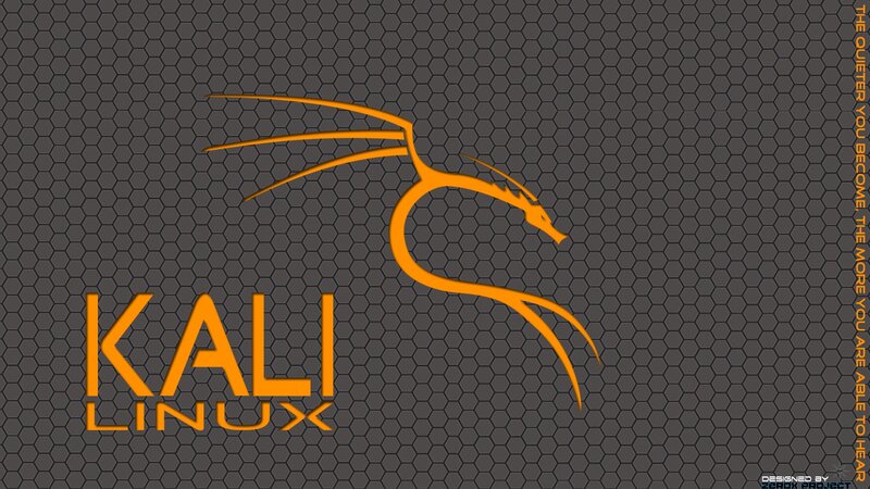 Kali Linux Logo — Orange