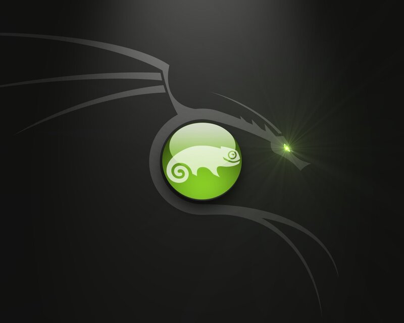 Kali Linux logo wallpaper
