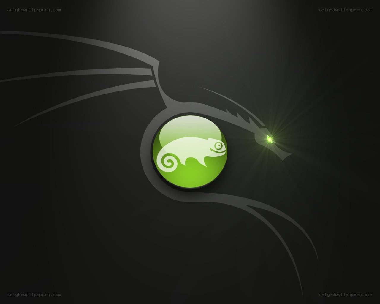 Kali Linux logo wallpaper