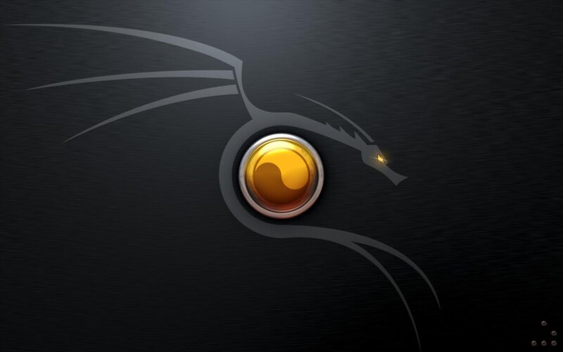 Kali Linux logo wallpaper