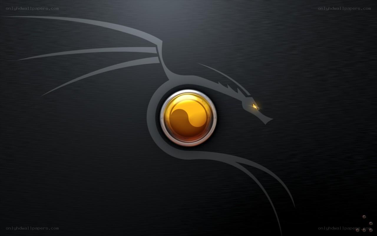 Kali Linux logo wallpaper
