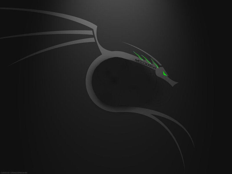 Kali Linux logo wallpaper