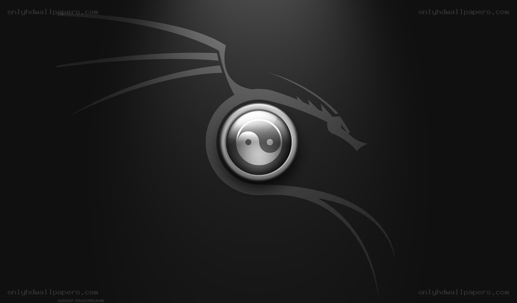 Kali Linux logo wallpaper