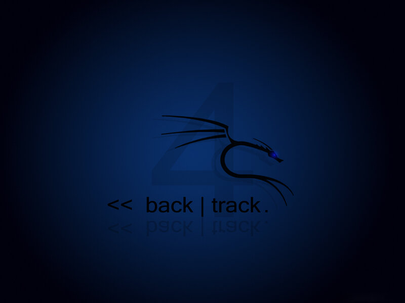Kali Linux logo with code text