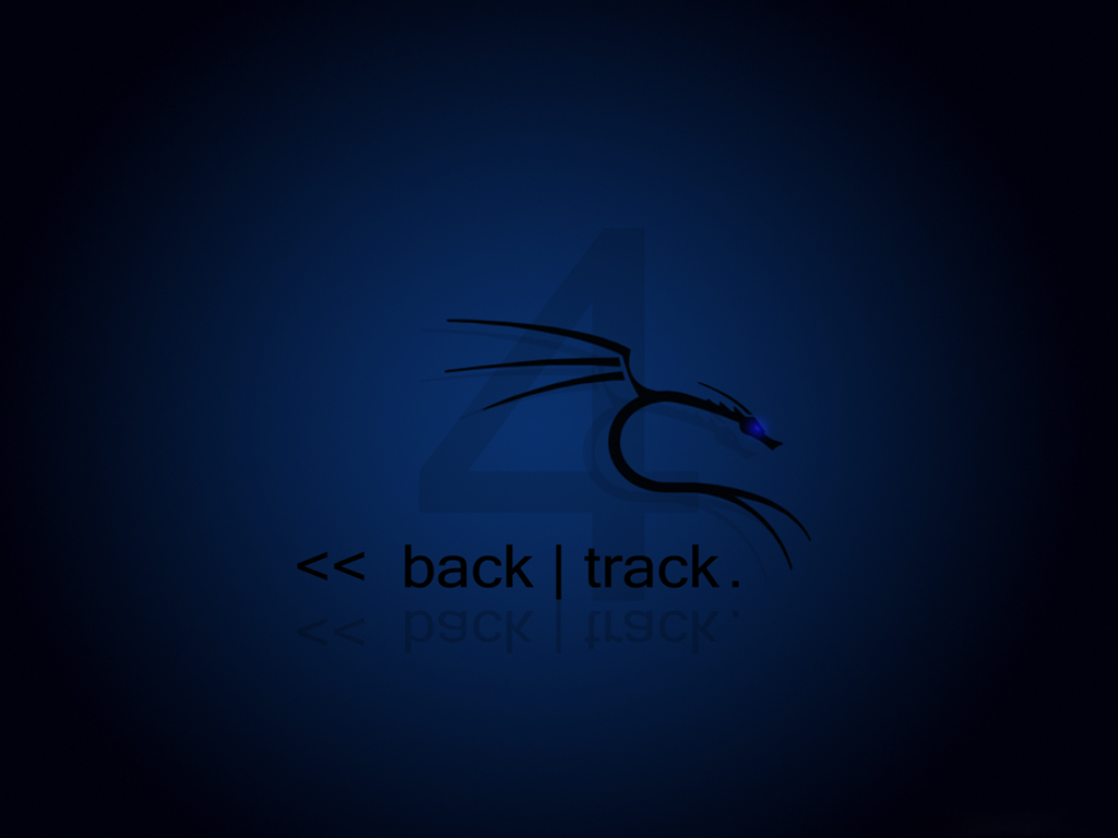 Kali Linux logo with code text