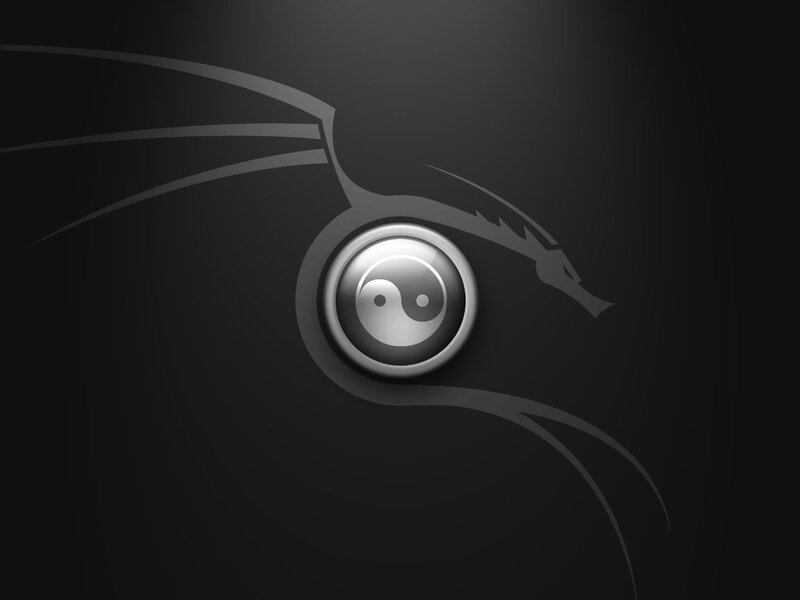 Kali Linux logo with yin-yang symbol