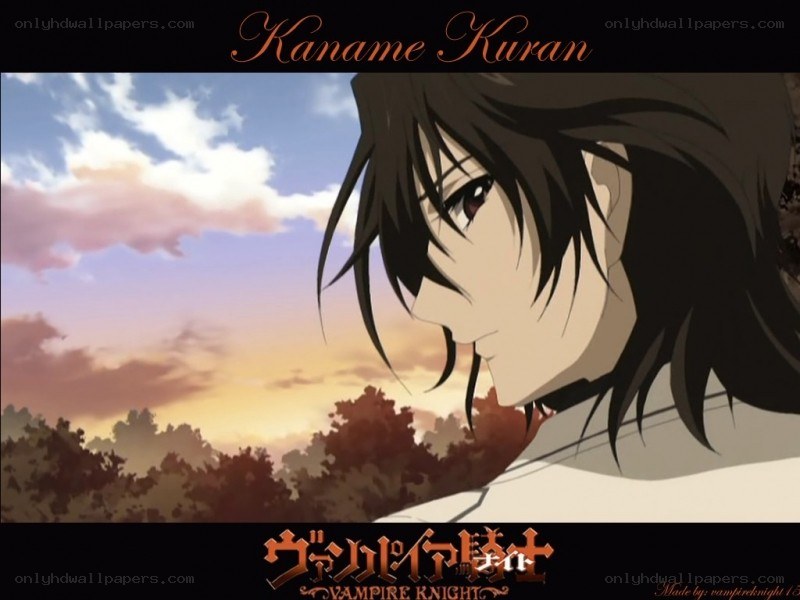 Kaname Kuran from Vampire Knight