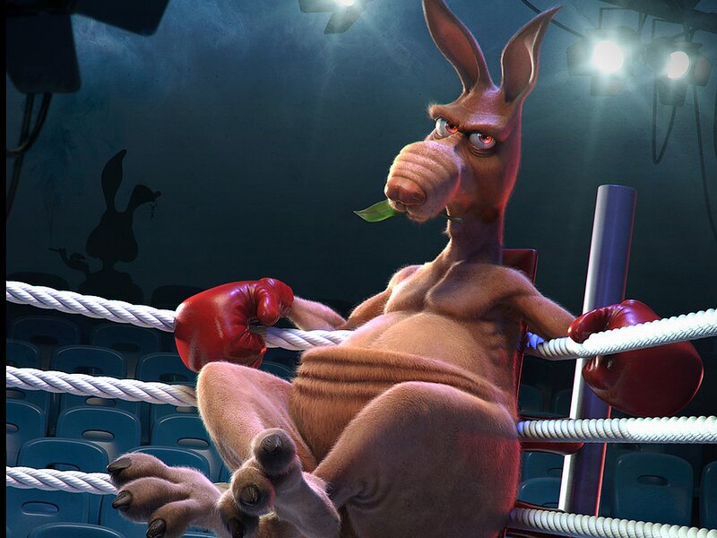 Kangaroo Boxer in Ring — Brown