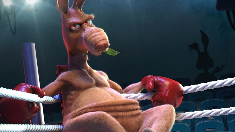Kangaroo Boxer in Ring