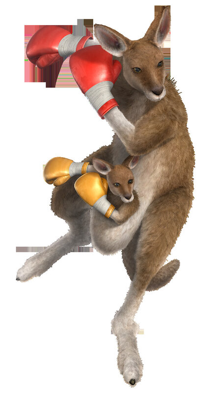 kangaroo boxing duo