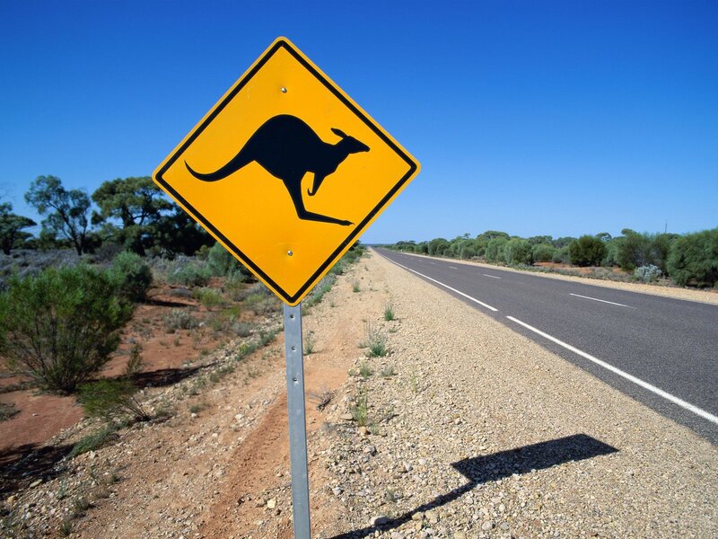 Kangaroo crossing sign on road