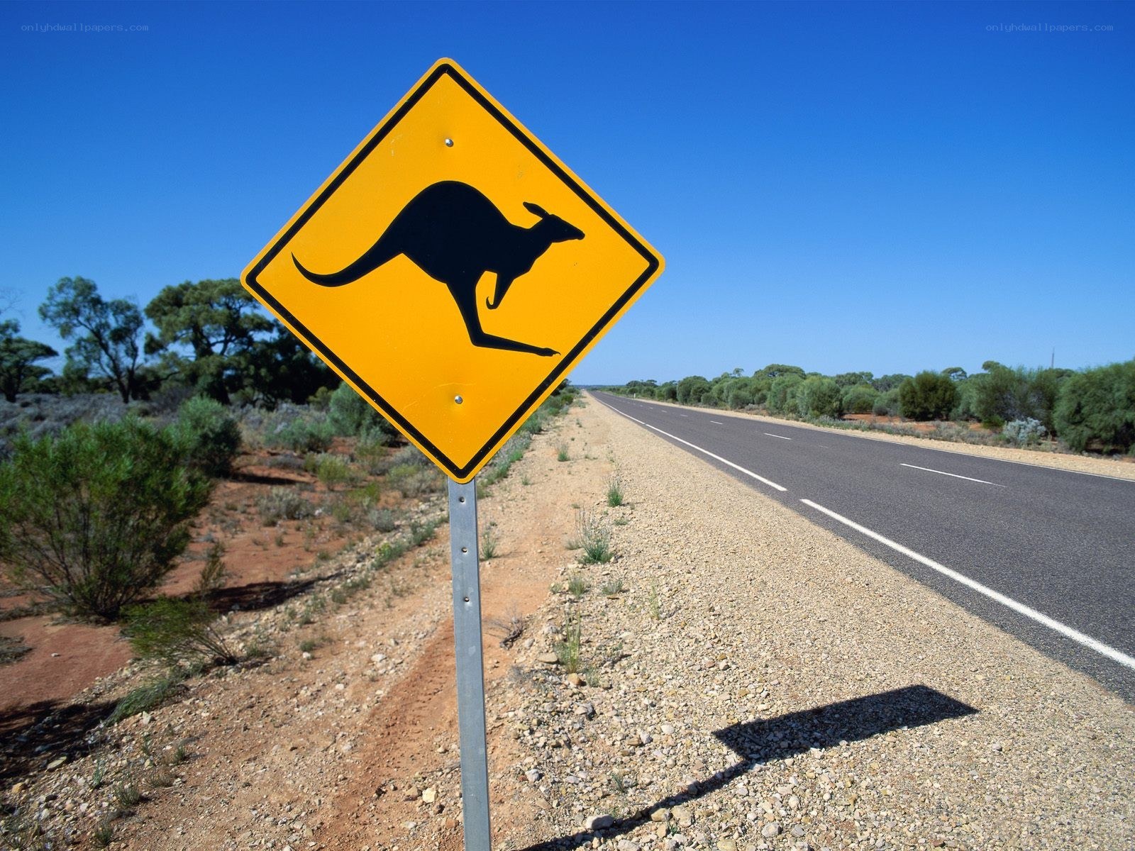 Kangaroo crossing sign on road