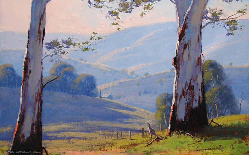 Kangaroo in Australian landscape