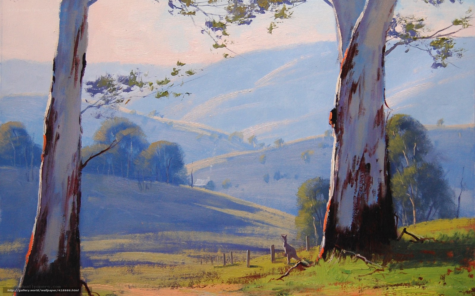 Kangaroo in Australian landscape