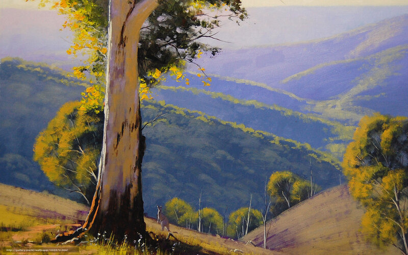 Kangaroo in Australian landscape