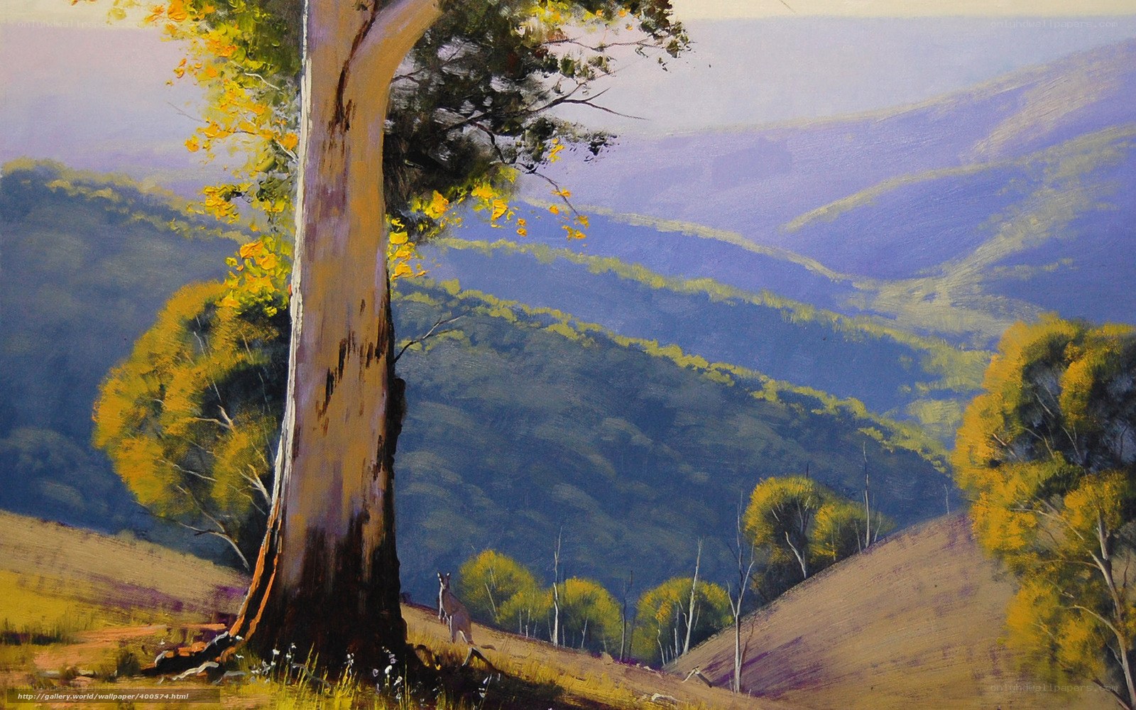 Kangaroo in Australian landscape