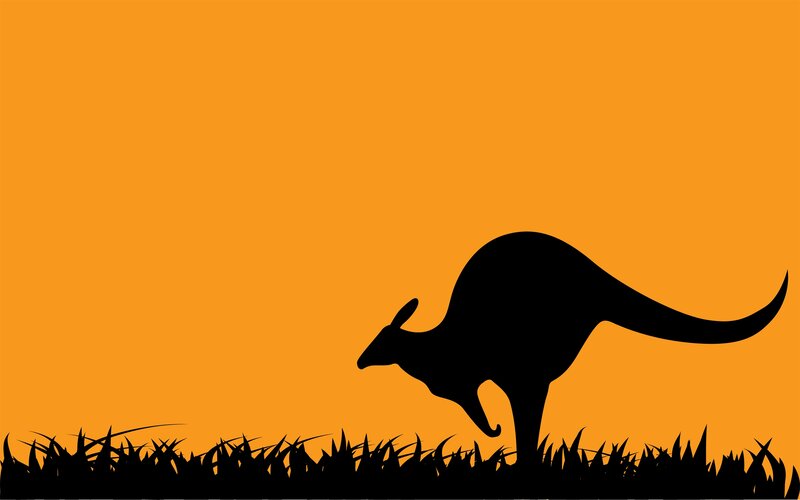 kangaroo silhouette at sunset