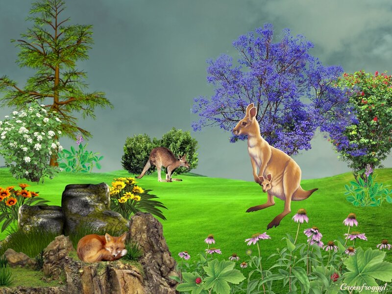 Kangaroo with Joey — Green, Serene
