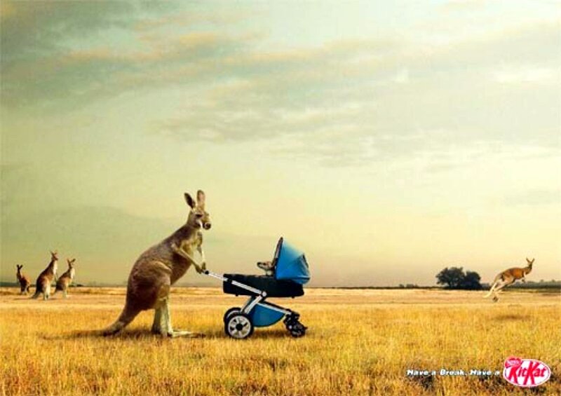 kangaroo with stroller