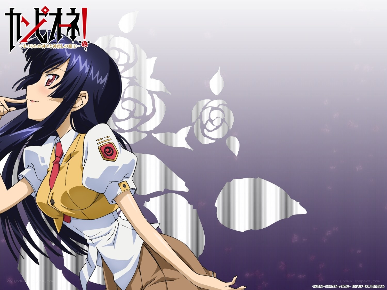 Kanpureri anime character
