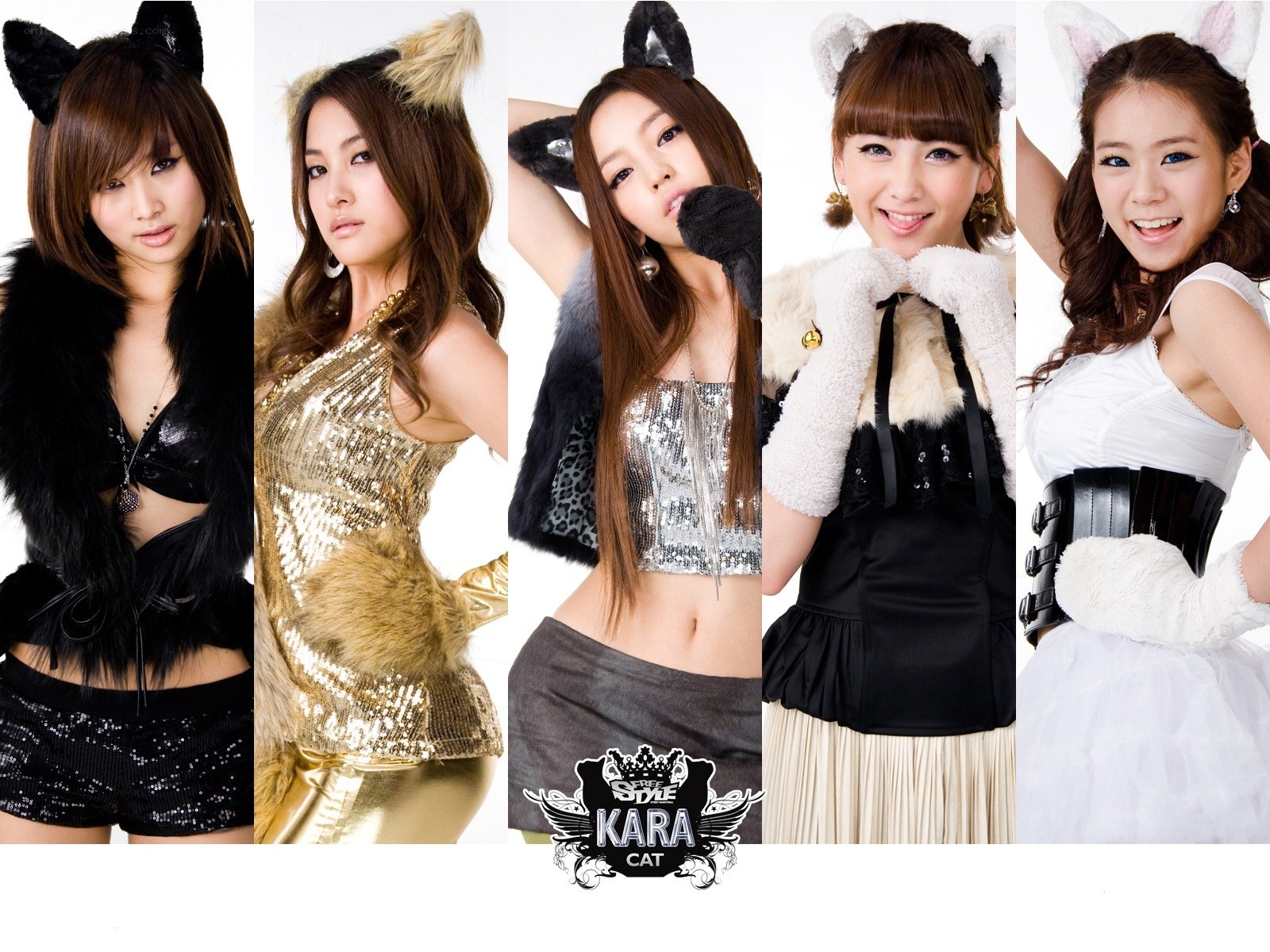 KARA cat-themed photoshoot