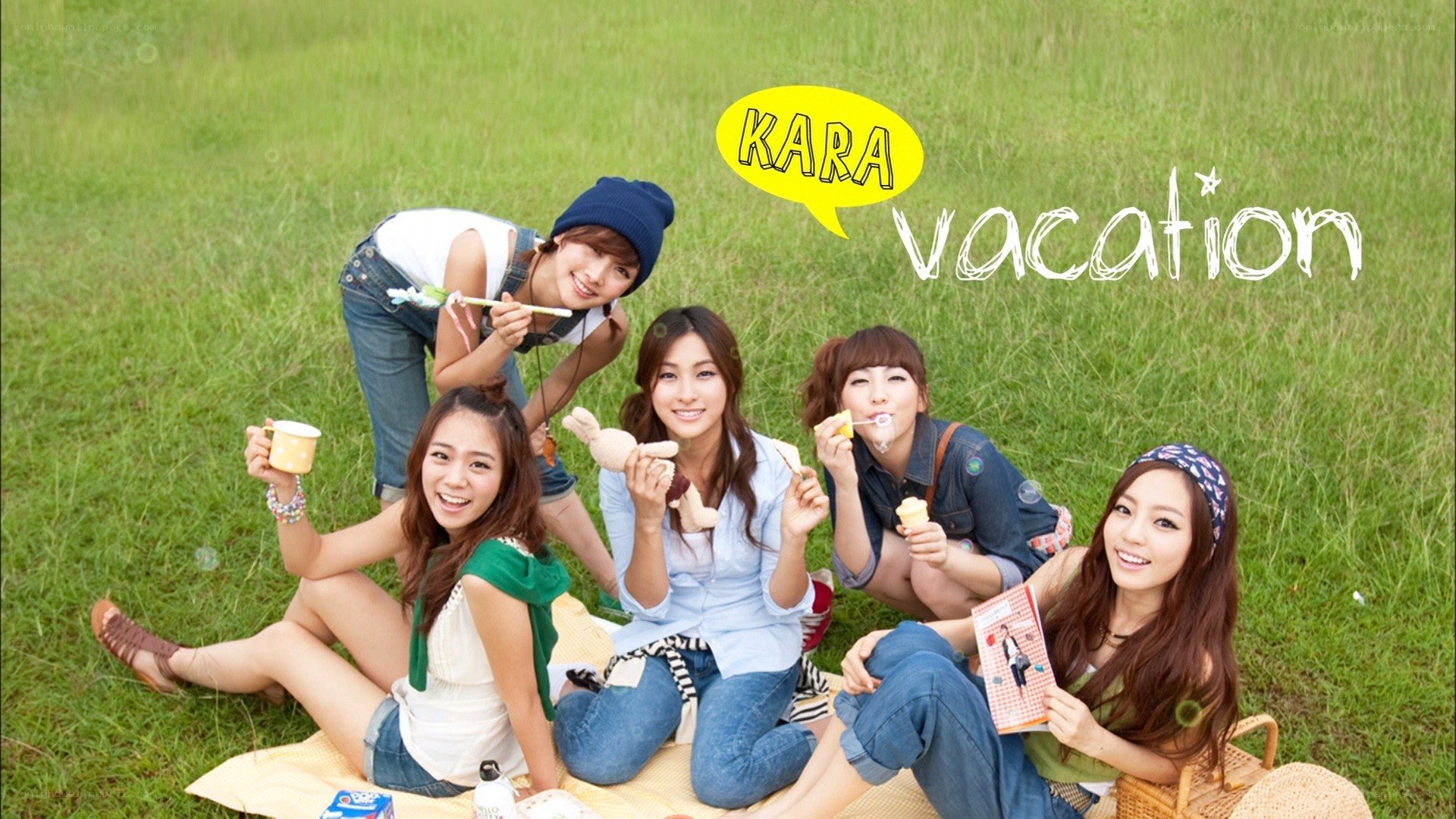 KARA on a picnic