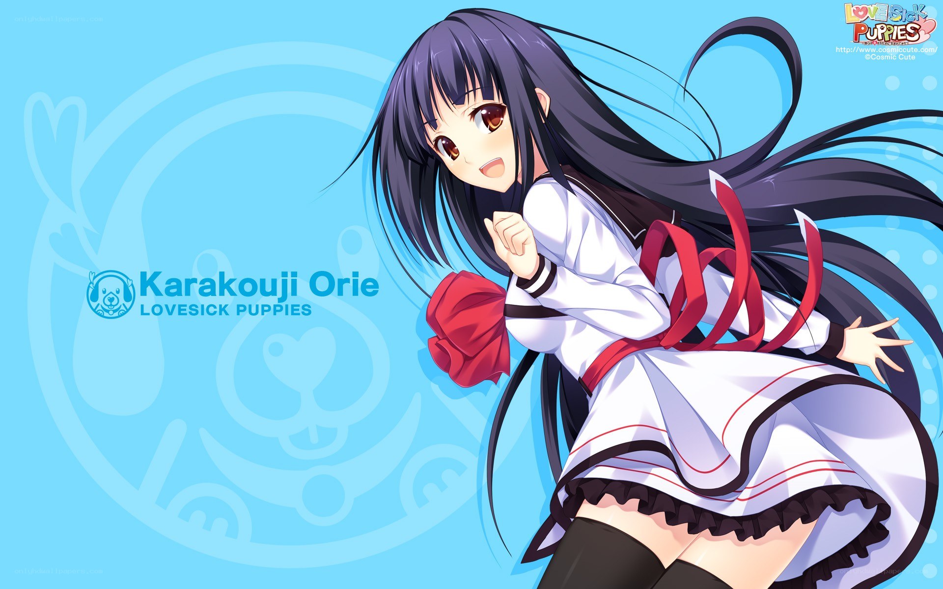 Karakouji Orie character art