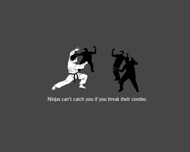 Karate Fighter Vs Ninjas