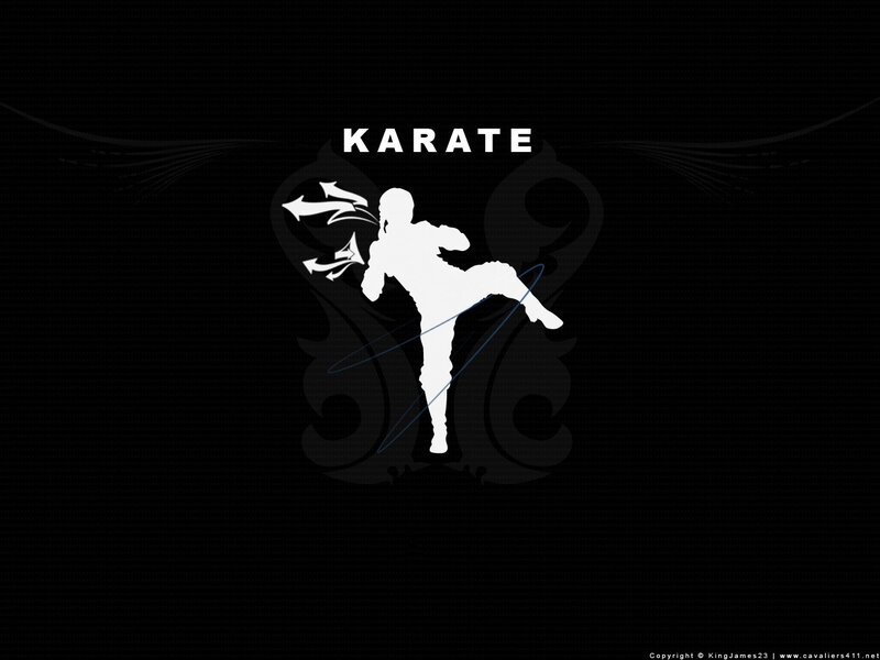 Karate silhouette artwork