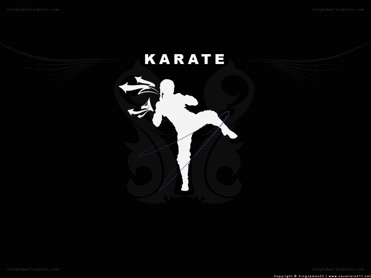 Karate silhouette artwork