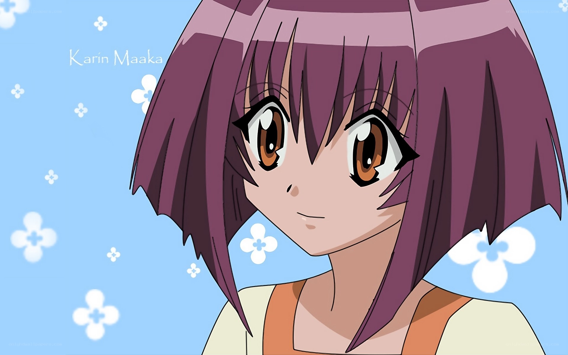 Karin Maaka character portrait