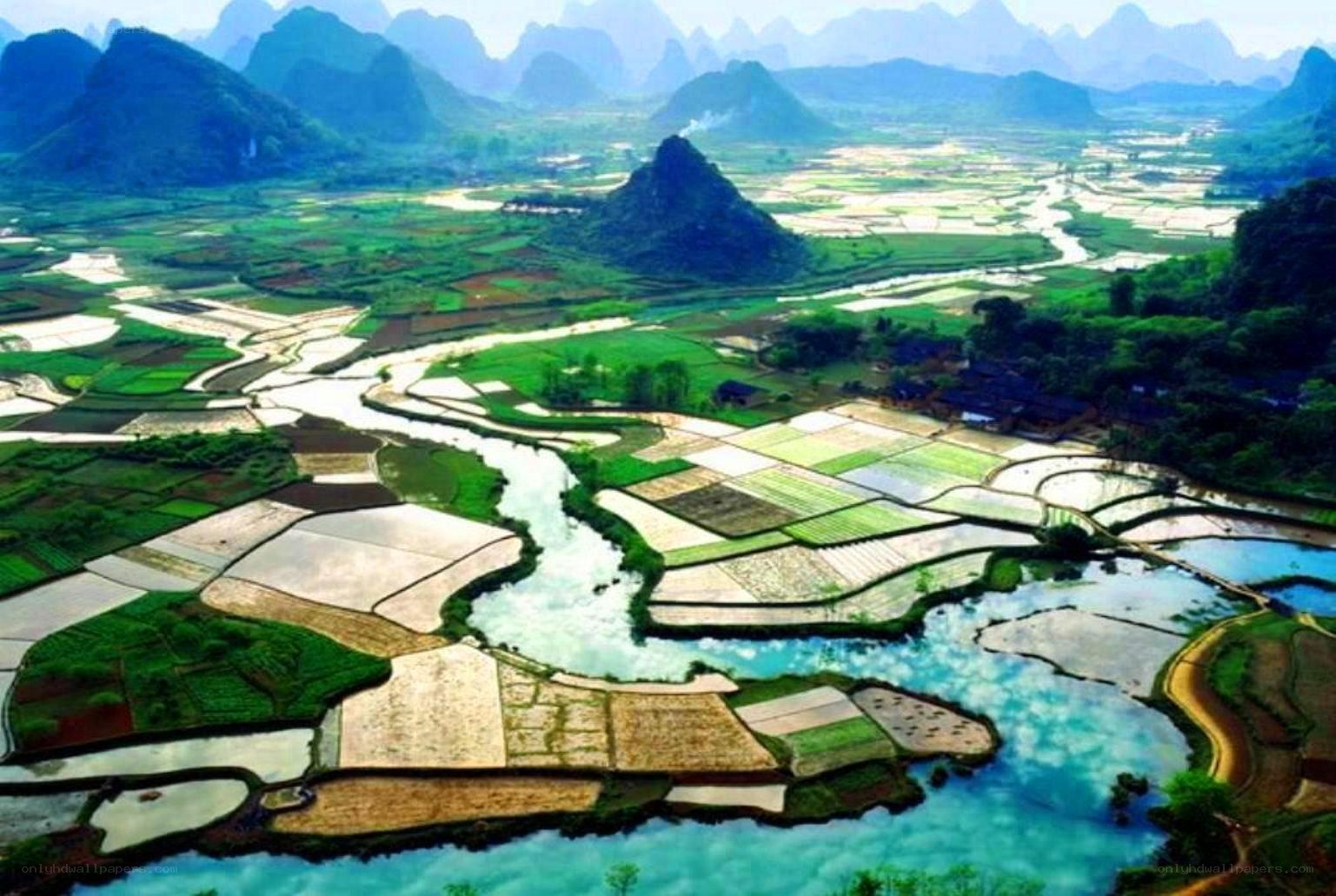 Karst landscape with rice paddies