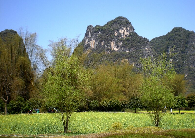 Karst Mountains and Rapeseed Field