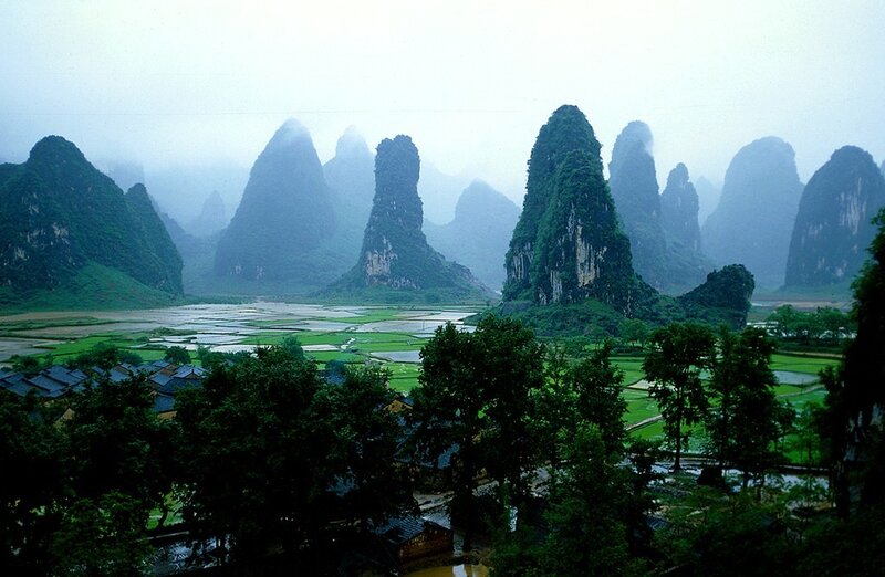 Karst Mountains and Rice Fields