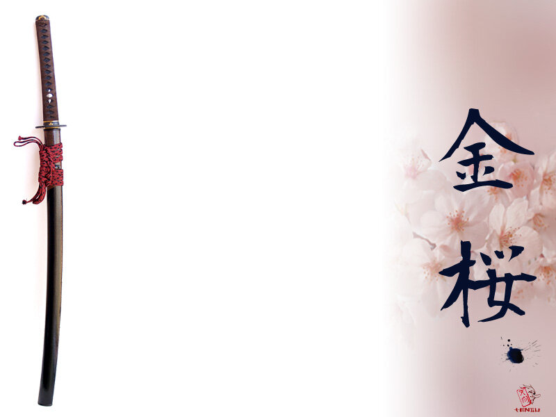 Katana with Japanese characters
