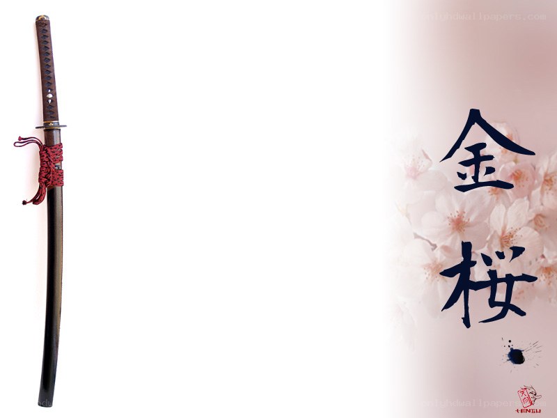 Katana with Japanese characters