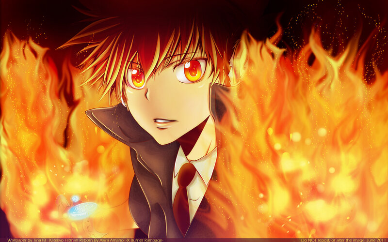 Katekyo Hitman Reborn character
