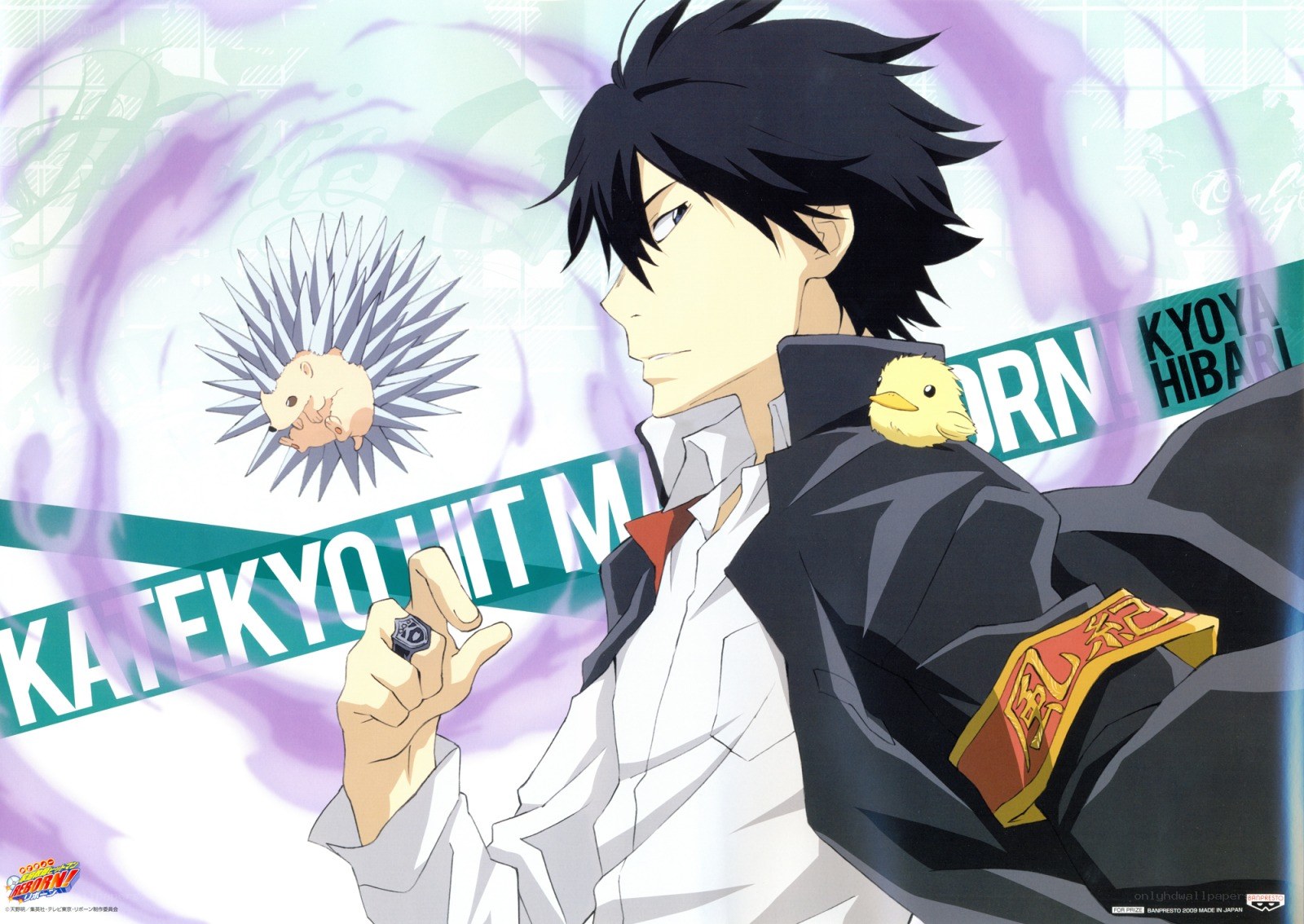 KATEKYO HITMAN REBORN!