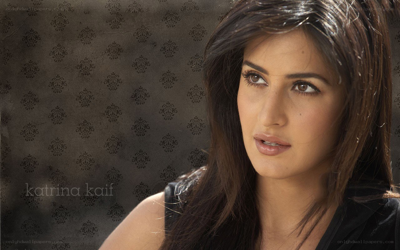 Katrina Kaif portrait