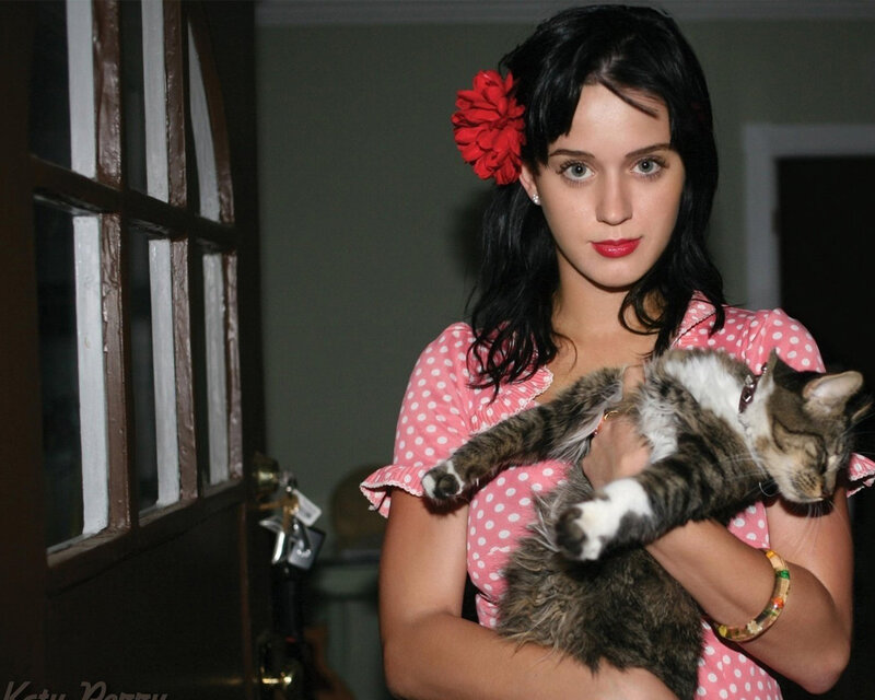 Katy Perry holding a cat