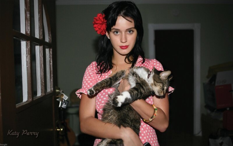 Katy Perry holding a cat