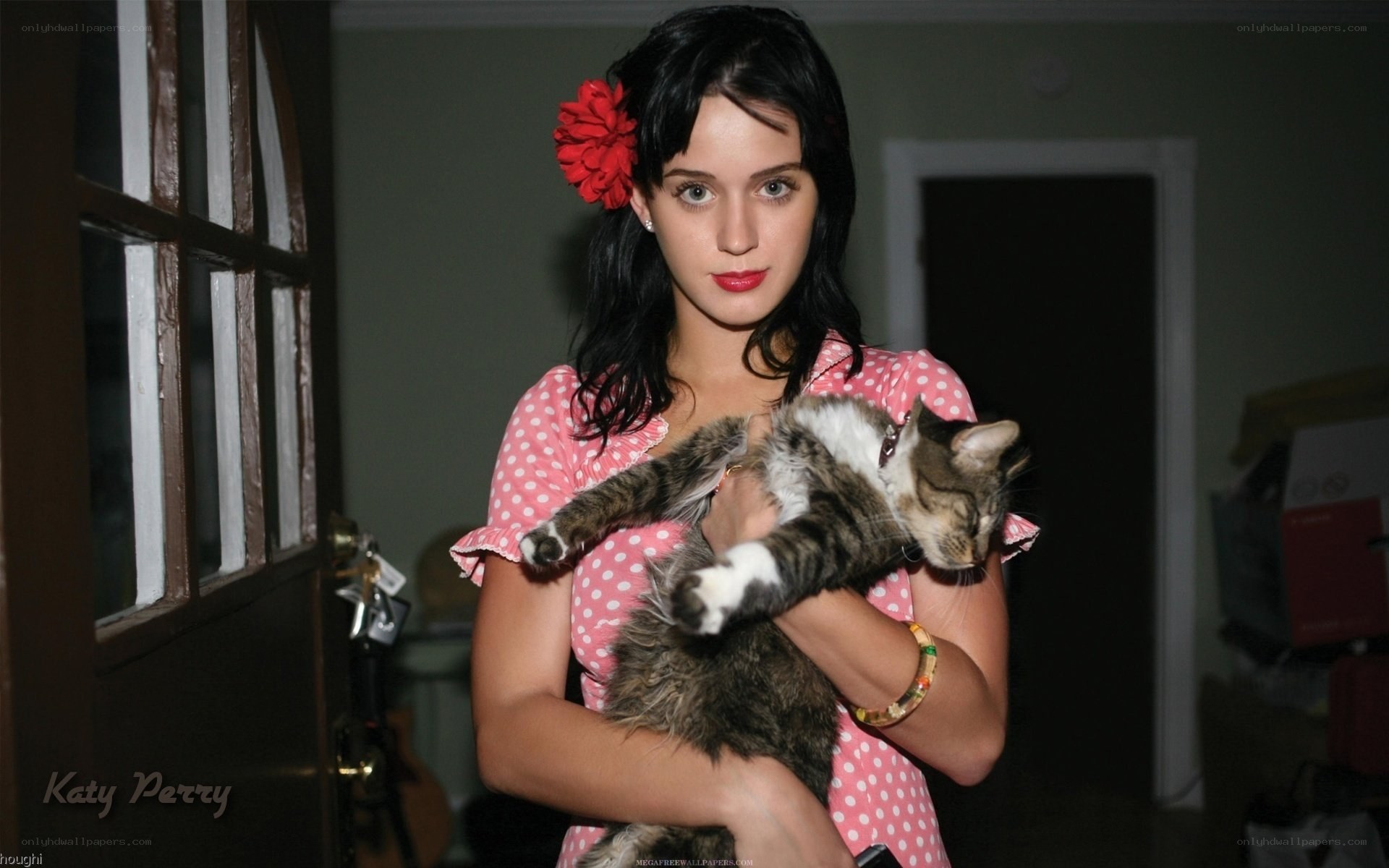 Katy Perry holding a cat