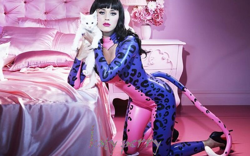 Katy Perry in leopard suit