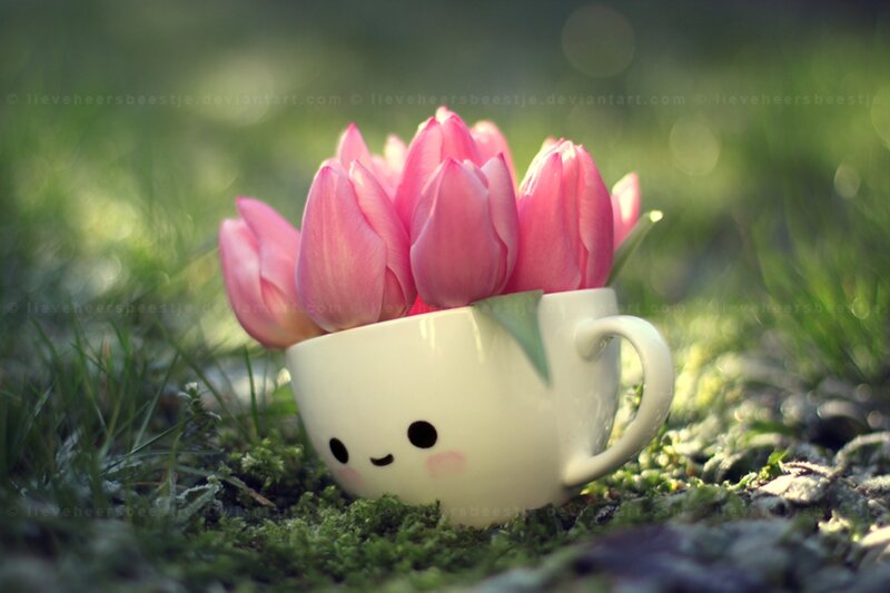 Kawaii Cup with Tulips