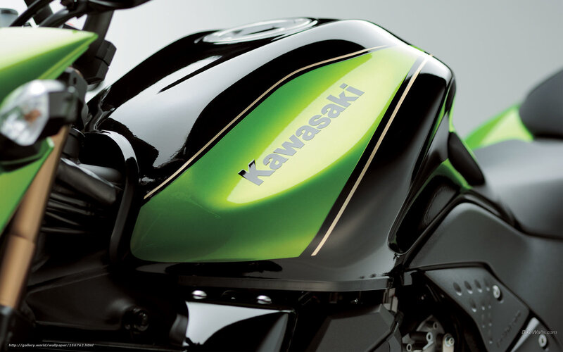 Kawasaki Motorcycle Fuel Tank — Green
