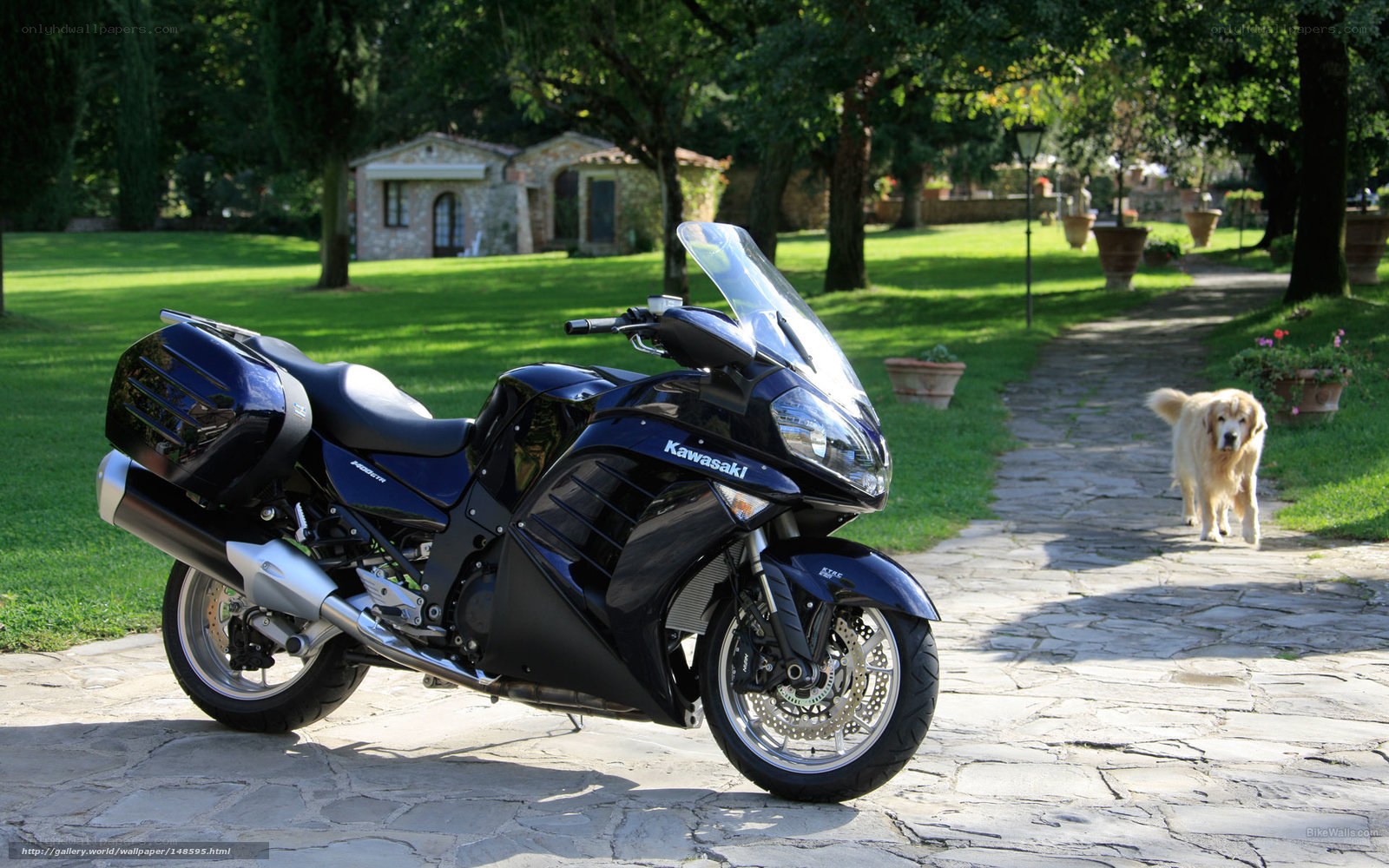 Kawasaki motorcycle in garden