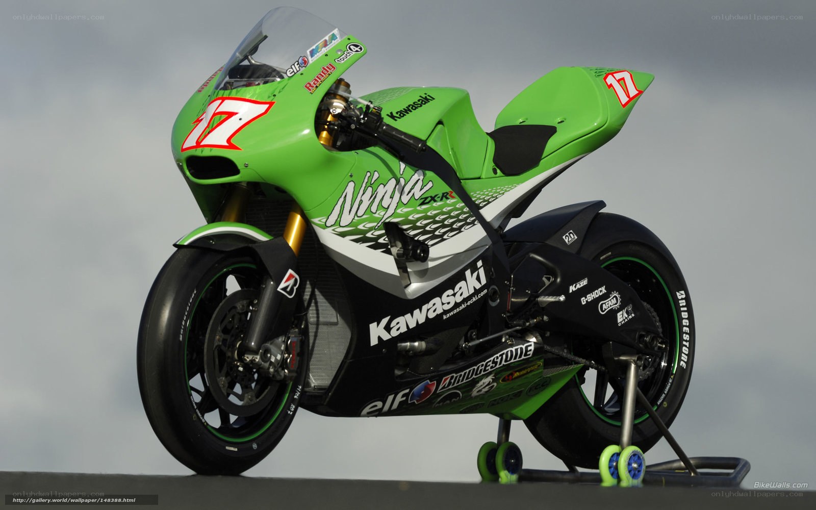Kawasaki Ninja race motorcycle
