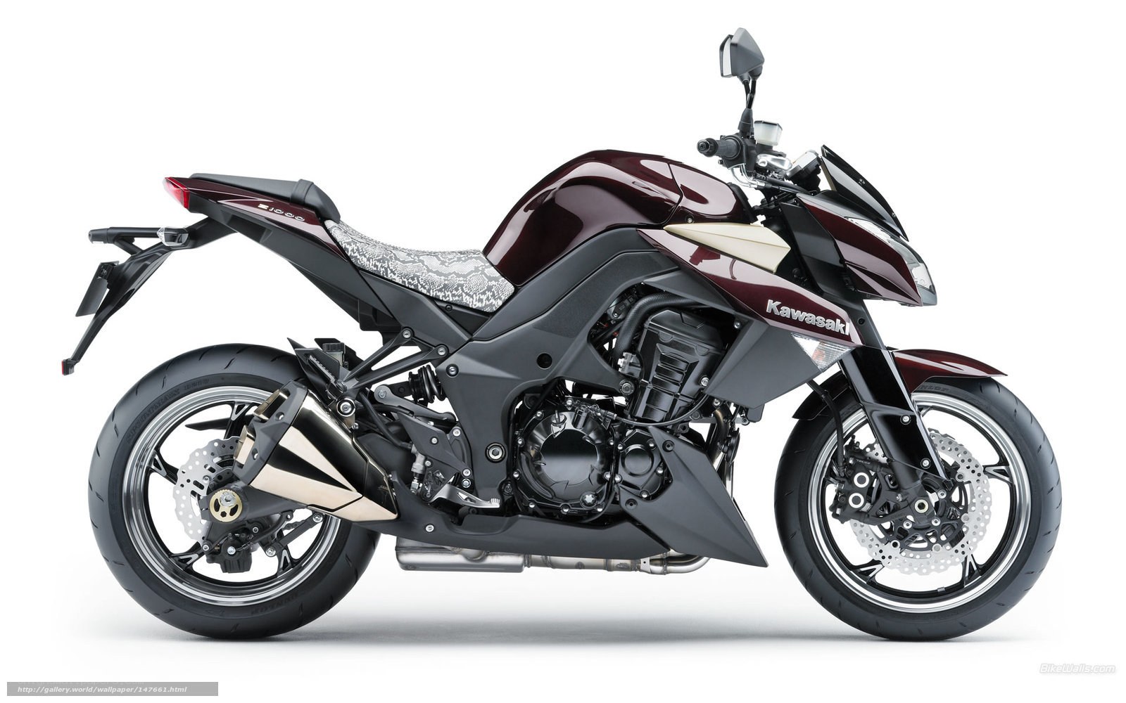 Kawasaki Z1000 motorcycle