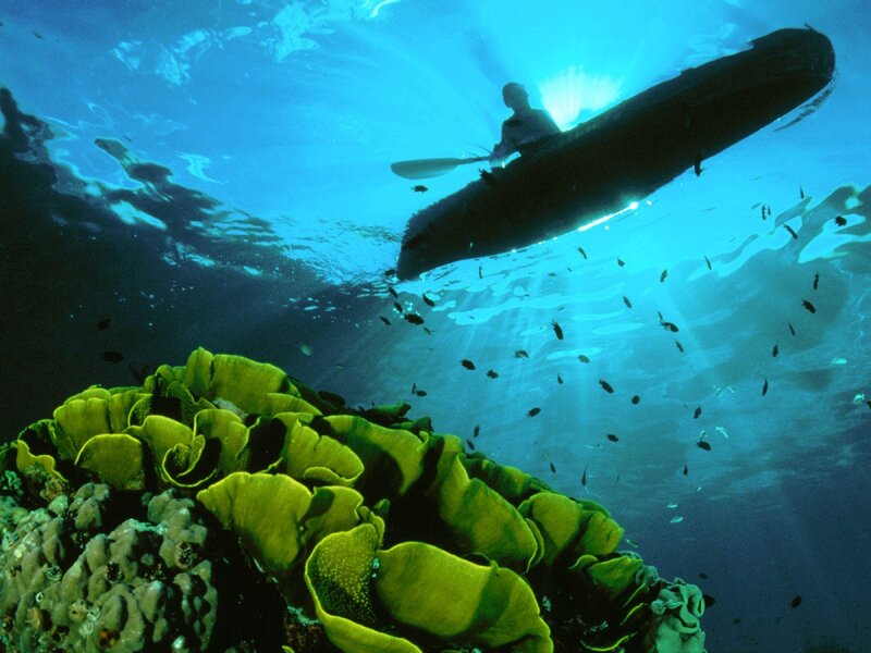 kayaker above coral reef